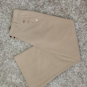 The Limited Lined Dress Pants